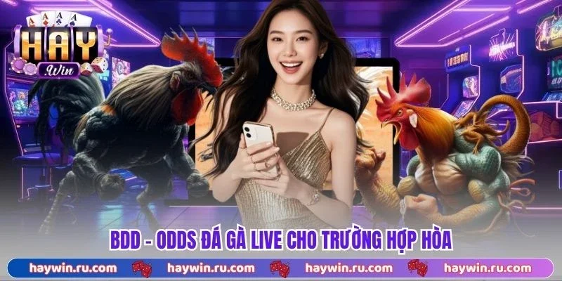 Odds Đá Gà Live - Yếu Tố Quan Trọng Khi Vào Tiền Trận Đấu BDD - Odds Đá Gà Live cho trường hợp hòa
