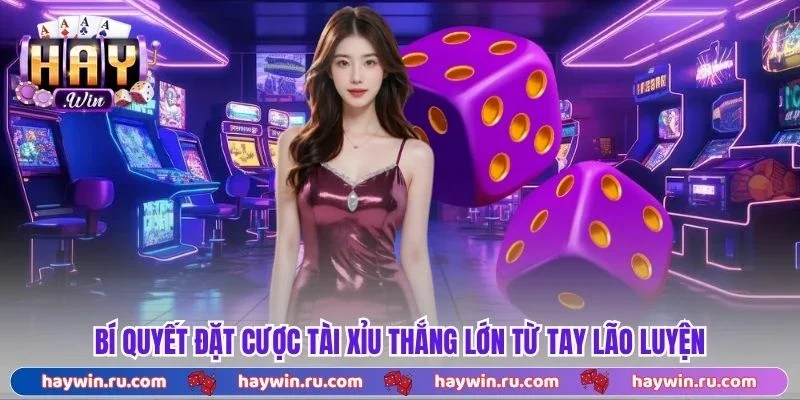 Tài Xỉu Haywin - Kiếm Tiền Thả Ga X10 Vốn Giải Trí Cực Dễ Bí quyết đặt cược tài xỉu thắng lớn từ tay lão luyện