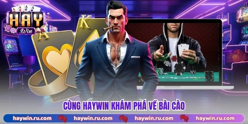 Cùng Haywin khám phá về bài cào