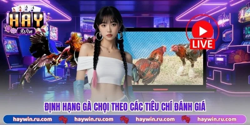 Định hạng gà chọi theo các tiêu chí đánh giá