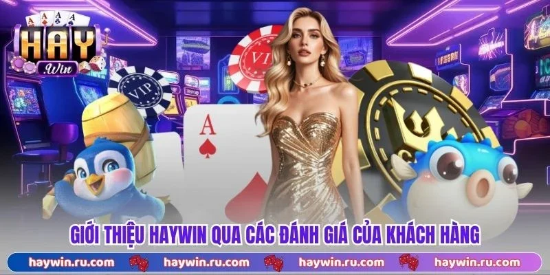 Giới Thiệu Haywin - Nền Tảng Chất Lượng, Kho Game Đa Dạng Giới Thiệu Haywin Qua Các Đánh Giá Của Khách Hàng
