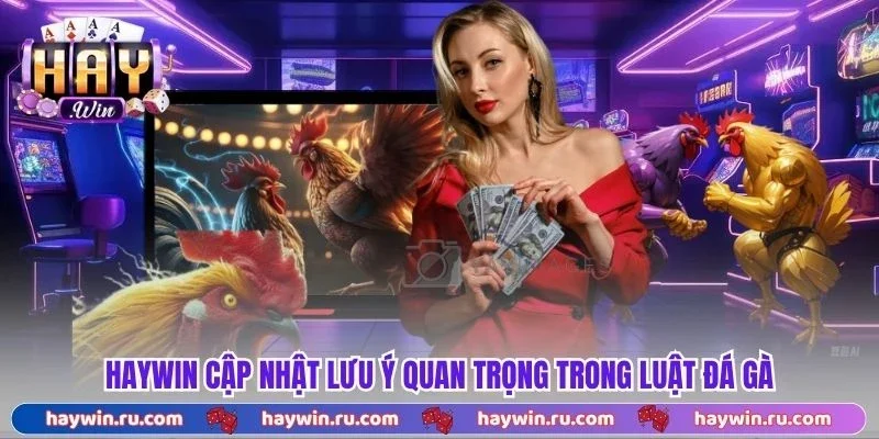 Haywin cập nhật lưu ý quan trọng trong luật đá gà