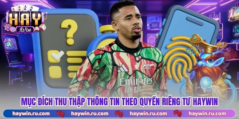 Mục đích thu thập thông tin theo quyền riêng tư Haywin