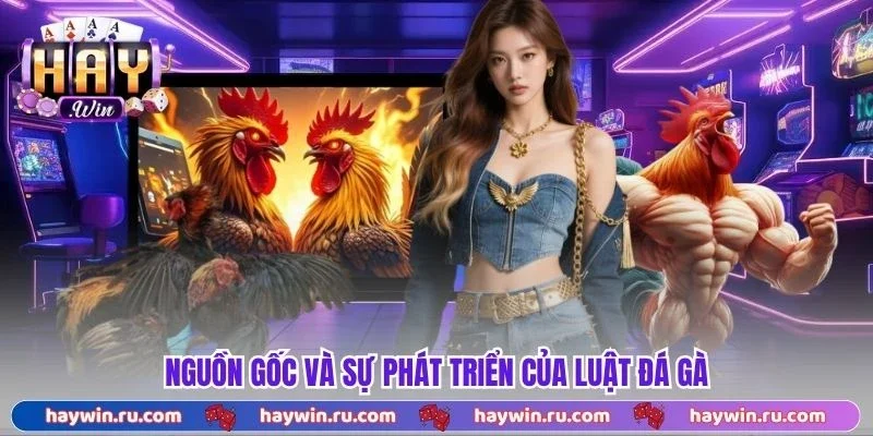 Nguồn gốc và sự phát triển của luật đá gà