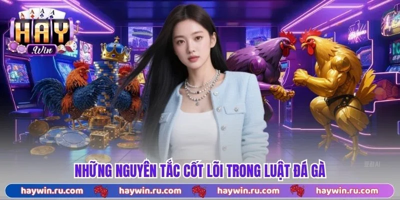 Những nguyên tắc cốt lõi trong luật đá gà