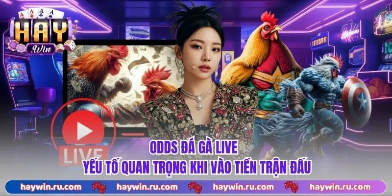 Odds Đá Gà Live