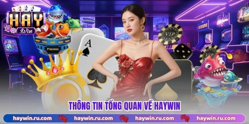 Thông Tin Tổng Quan Về Haywin