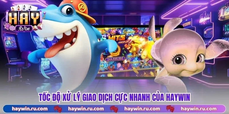 Tốc độ xử lý giao dịch cực nhanh của Haywin