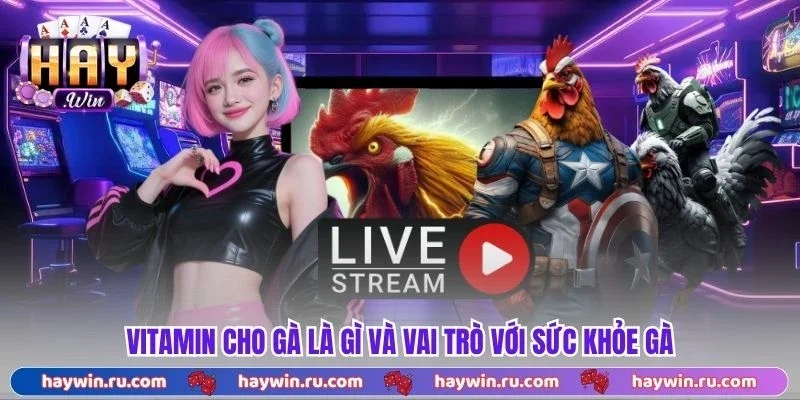 Vitamin cho gà là gì và vai trò với sức khỏe gà