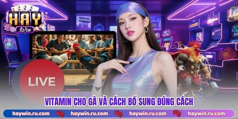 Vitamin cho gà và cách bổ sung đúng cách