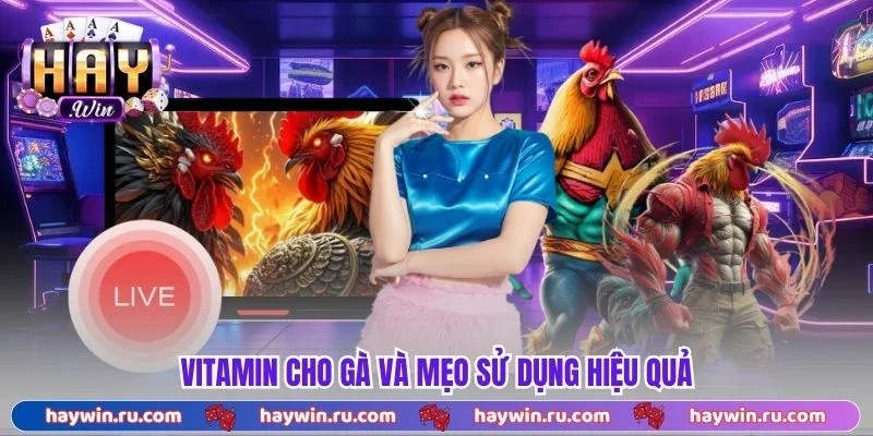 Vitamin cho gà và mẹo sử dụng hiệu quả